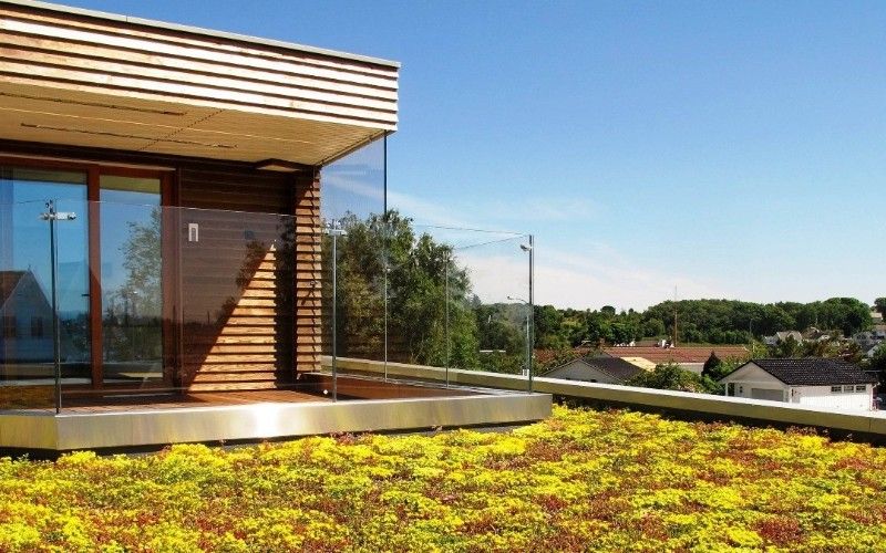 16. Tatskikt med rotskydd laggning av gront tak pa sommarhus